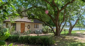Lemberg Wine Estate - Image 3
