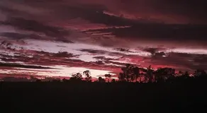 Joanda Farm Stay - Image 5