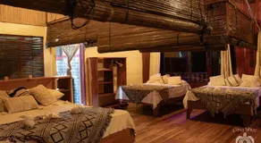 Casa Shec- An Oceanfront Jungle Retreat - Image 2