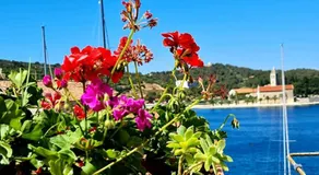 Bed & Breakfast Dionis Vis - Image 5