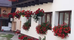 Casa Flavius - Image 5