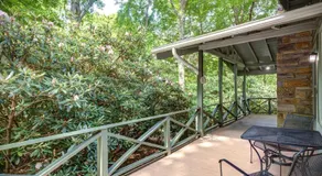 Mountain Home near Blue Ridge Parkway, Central Location! - Image 5