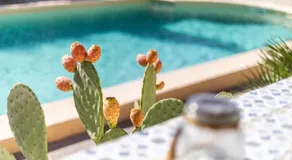 Casa vacanze 'Villa Santa Lucia' con piscina privata, terrazze e Wi-Fi - Image 4