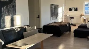 Luxurious, spacious apartment - Nordic Style - Image 3