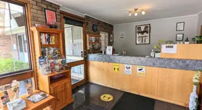 Homestead Motor Inn & Apartments - Image 5