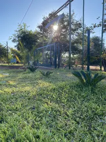 Bush Adventure Guest House - Image 4