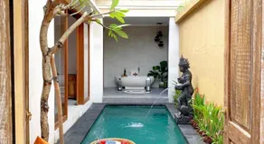 The Daryana Villa - Image 3