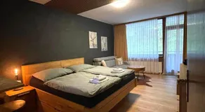 Ferienwohnung in Bad Goisern - Image 2