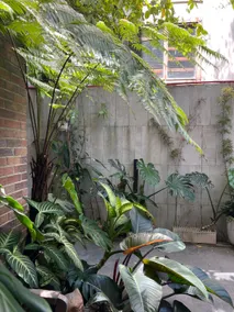 MyFa House - Image 5