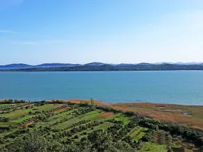Holiday home Fabio in Dalmatia with swimming pool - Image 3