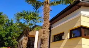 Hotel Arkadia - Image 2