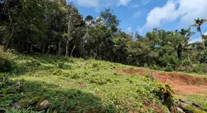Belandoor Nature Nest - Image 3