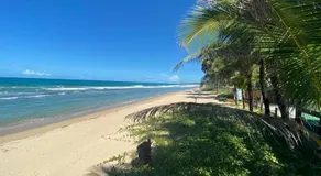 Pé na areia - Vista inesquecível - Beira mar - Muro Alto/Porto de Galinhas - Image 4