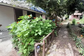 Bamboo Hut Resort and Restaurant - Image 2