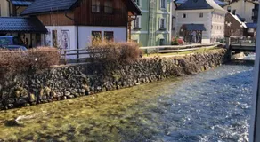Am Neupersteg Eine Wohnung zum Wohlfühlen - Image 4