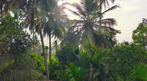 The Sulbha Beach Resort - Image 4
