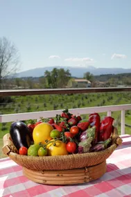 Villa Petros - Image 5