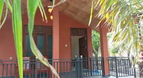 Yala Eco Shine - Image 4