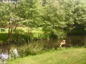 Hollicarrs - Waters Edge - Image 3