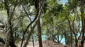 Deluxe loft with direct access to the lagoon - Image 5