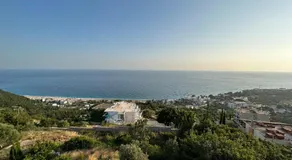 Dima Vista - Image 3