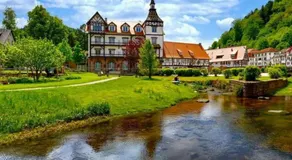 Design Apartment Black Forest Retreat Bad Herrenalb - Image 4