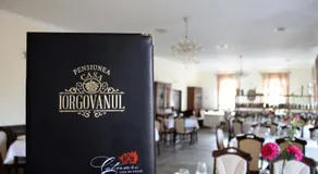 Pensiunea Casa Iorgovanul Urseni - Image 5
