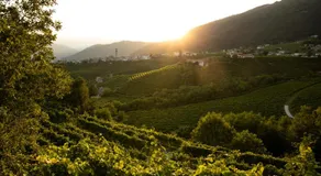 Oasi di pace nel sito UNESCO del Prosecco DOCG - Image 5
