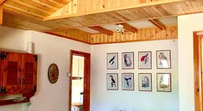 Chalet dell'Orso - Image 2