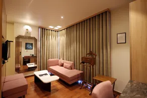 THE ELEGANCE - Image 5