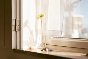 Casa Viana - Guesthouse - Image 2