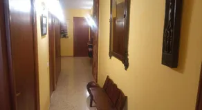 Can Molone - Image 4
