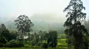 Prysm Homestay - Kotagiri - Image 5