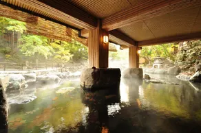 Takaragawa Onsen Ousenkaku - Image 4