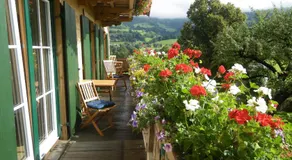 Lindenhof - Image 3