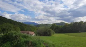 Maison entre Campagne et Foret - Image 5