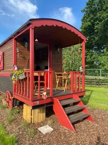 Pia B&B Babbita - Image 5