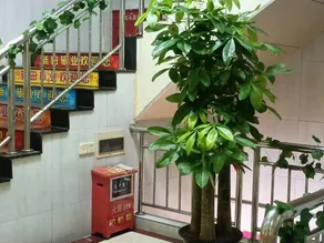 Xintian Lvye Hotel - Image 4
