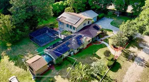 The Nest - Image 4