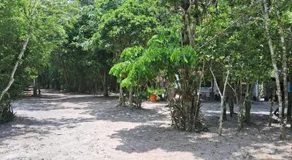 Cananéia Apoio Tours - Image 4
