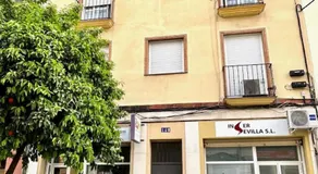 Hispalis Triana - Image 4