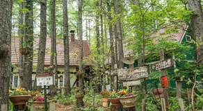 Guesthouse Canterbury - Image 4