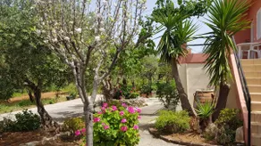 Cretan Rural Stay in Private Olive Grove Cottage - Image 2
