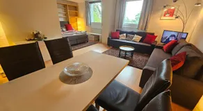 Yuki's Place - UN-VIC, Danube Beach and Subway near to Downtown Vienna - Image 2
