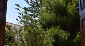 Pension Felippe - Image 3