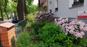 Ferienwohnung Heil - Königs Wusterhausen - Image 4