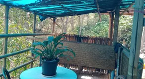 DSD Bomzon Homestay - Image 3