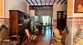 ROMI ORBA - Image 3