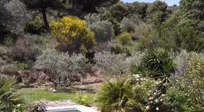 Le Paradis - Image 5