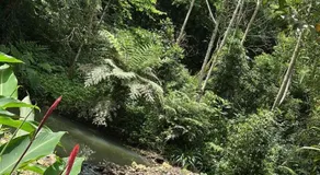 Chalé Recanto das Águas - Image 2